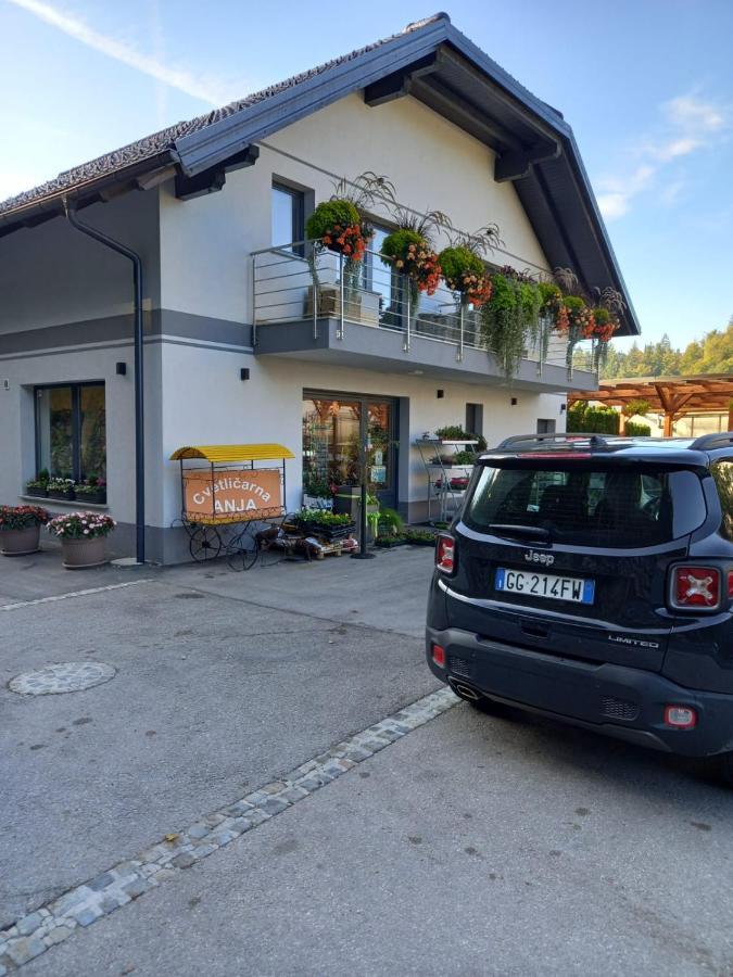 Apartmaji Tisa In Zana Rovte Eksteriør bilde
