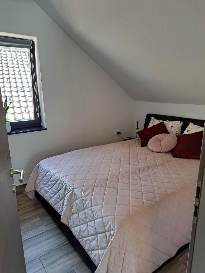 Apartmaji Tisa In Zana Rovte Eksteriør bilde