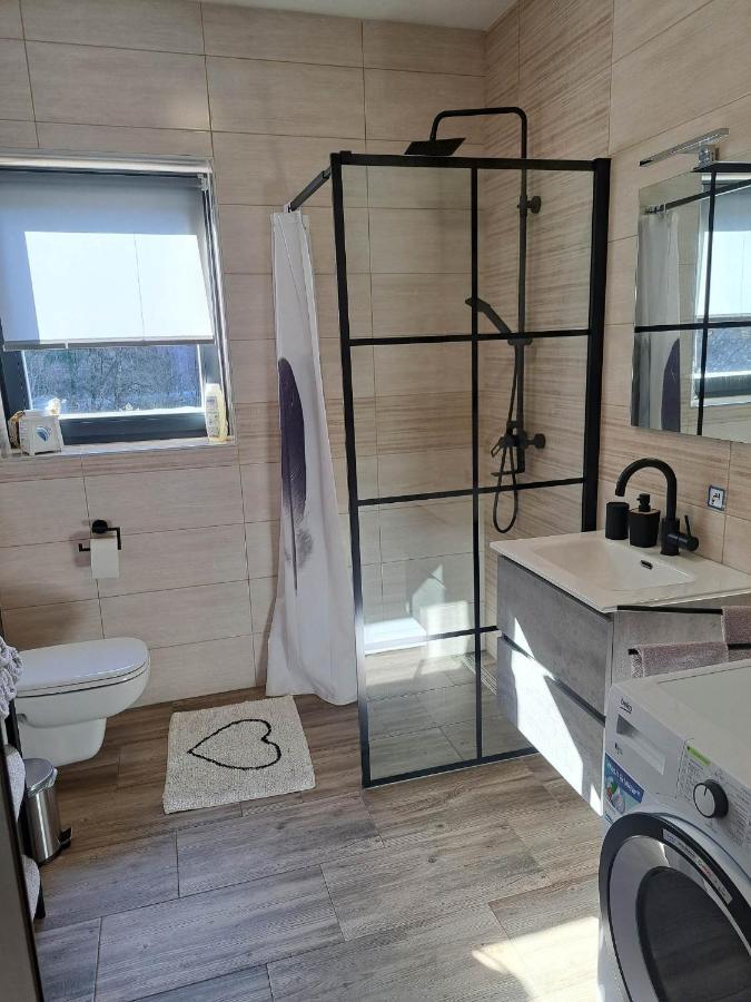Apartmaji Tisa In Zana Rovte Eksteriør bilde